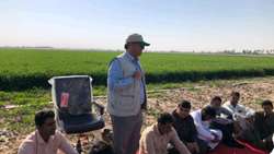 کارگاه آموزشی مدیریت آفت سن گندم در شهرستان جازموریان برگزار شد.